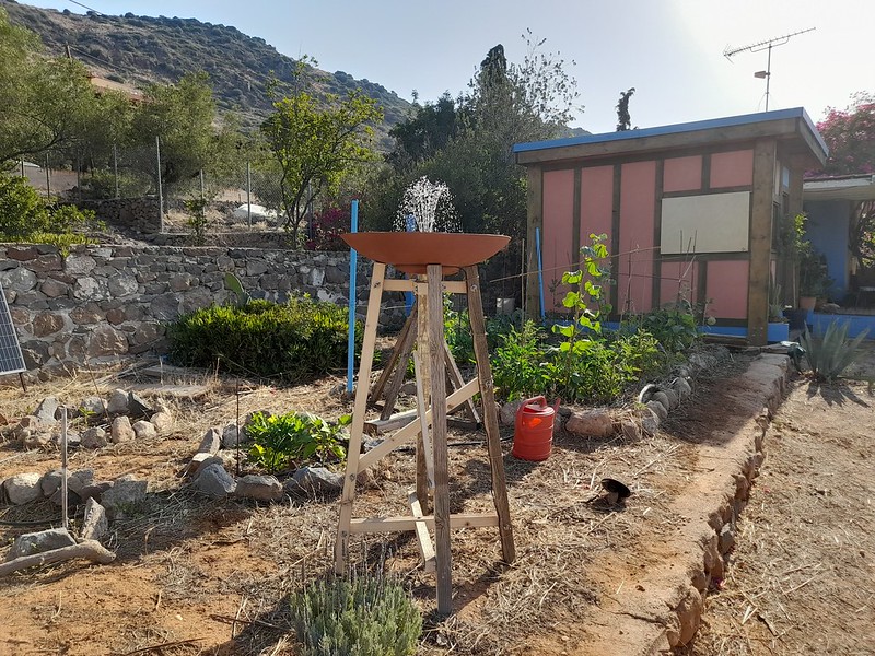 Bird Bath (for Gwendolyn Howard)