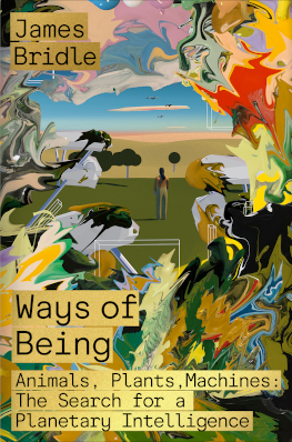 Ways of Being US Cover