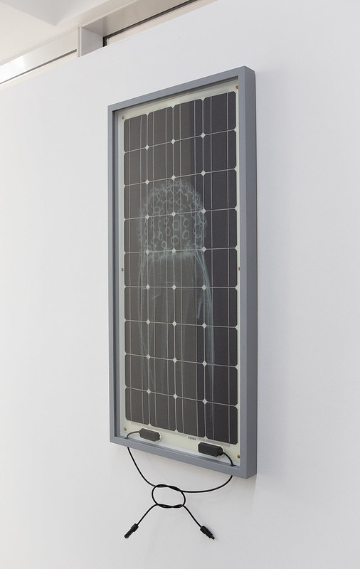 Solar Panels (Radiolaria Series)