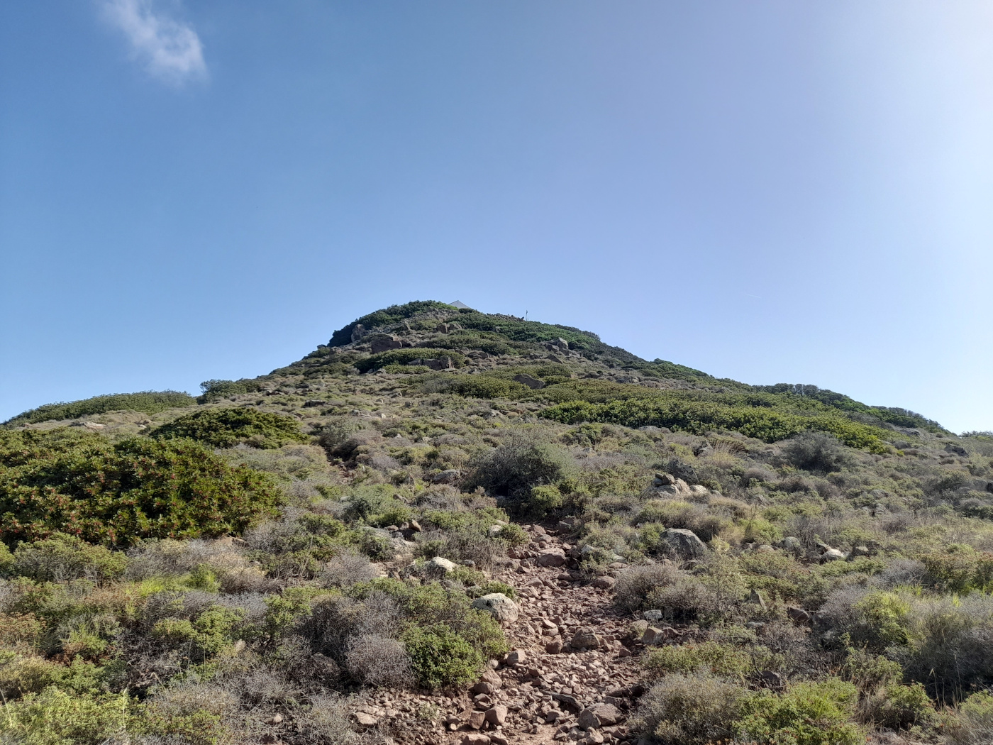 Στο βουνό / To The Mountain